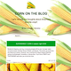 Illustration for article titled Vilsack Reprimanded For Spending Work Hours Writing Corn Blog